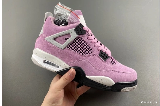  Retro Orchid AQ9129-501 Jordan 4 Air AQ9129-501 0120